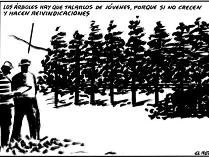 ROTO