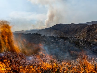 Un bosque arde durante un incendio forestal cerca de Altura (Castellón), este viernes.