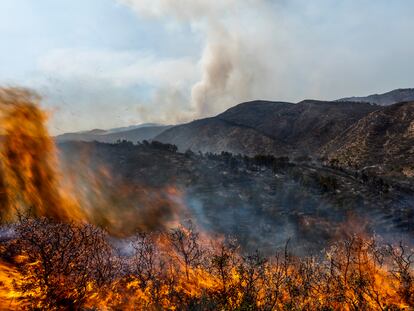 Un bosque arde durante un incendio forestal cerca de Altura (Castellón), este viernes.