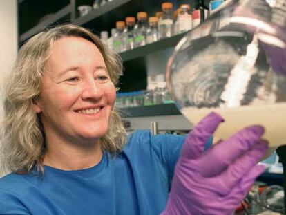 Carol Greider, en su laboratorio en la universidad Johns Hopkins.