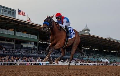 A runner at Santa Anita Park, a thoroughbred racetrack in Arcadia, California.