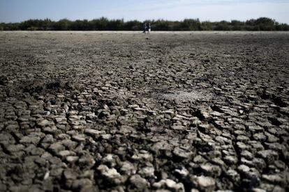 Current state of the Santa Olalla Lagoon in Doñana.