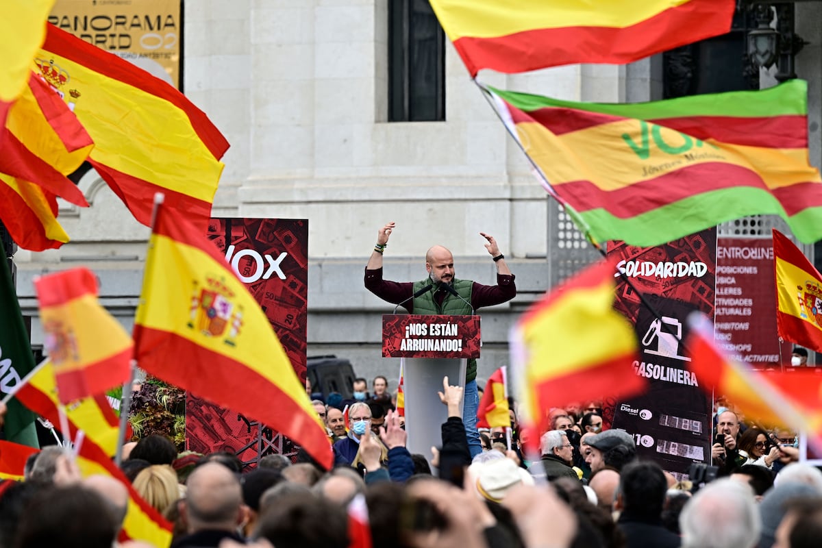 Vox: En qué se inspira el sindicalismo ultra español: claves de la ...