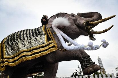 Un elefante eleva su pata delantera frente al Grand Palace de Bangkok para rendir homenaje al último rey tailandés, Bhumibol Adulyadej.