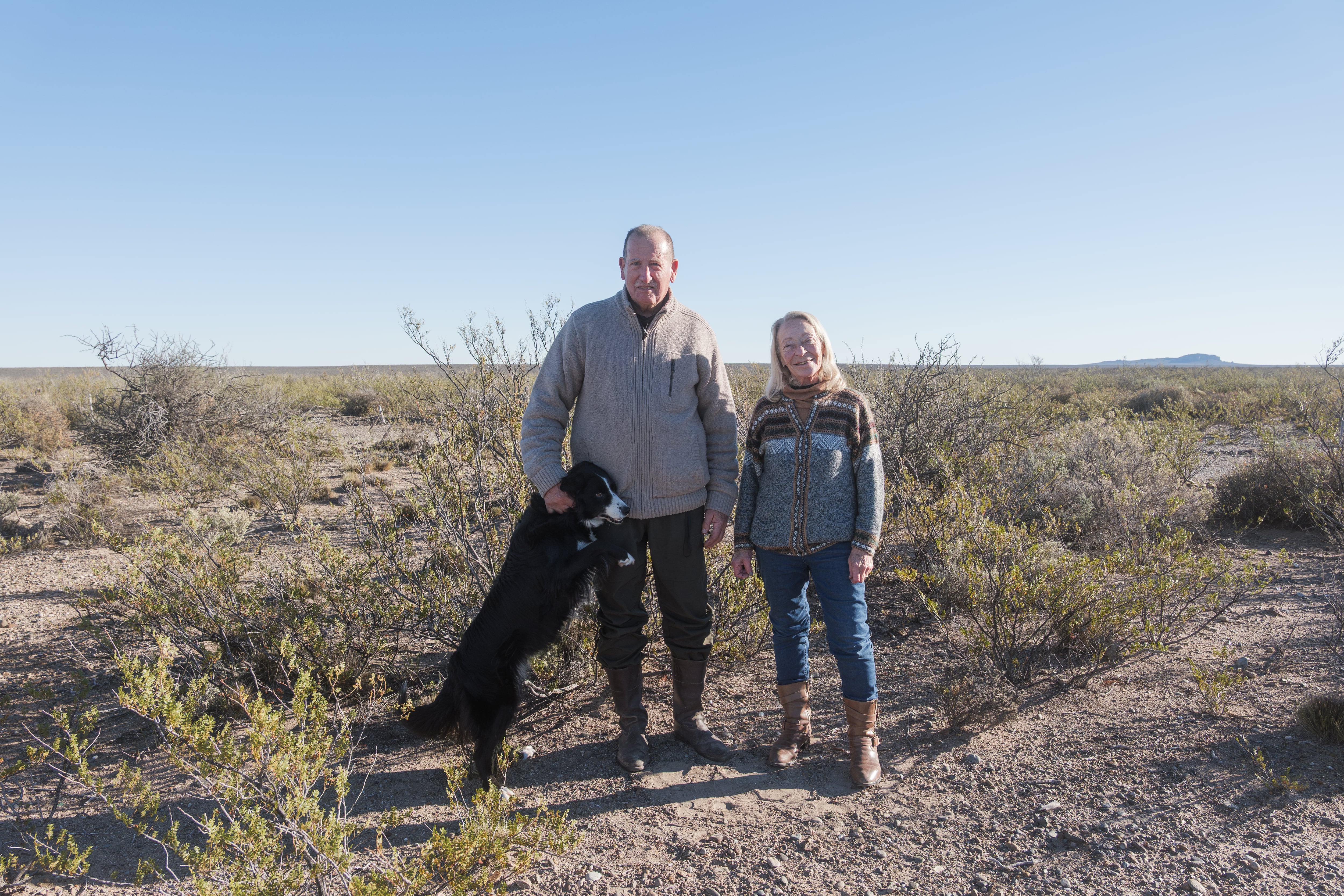 Los últimos ovejeros de la meseta patagónica: “Esto ya es un negocio sentimental”