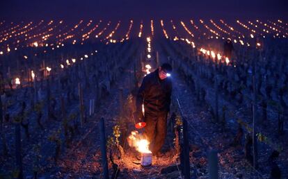 Un trabajador prende unos calentadores de luz empleados para proteger los viñedos de los daños causados por el hielo, en las afueras de Chablis (Francia).