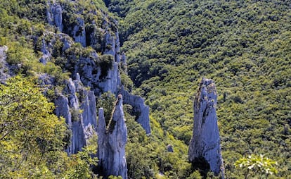 El cañón de Vela Draga, en el Parque Natural de Ucka.