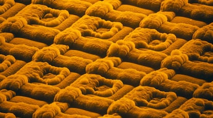 Fotografía de un nanochip con microscopio electrónico de barrido.