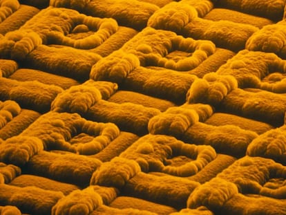 Fotografía de un nanochip con microscopio electrónico de barrido.