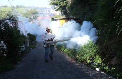 Un trabajador municipal termonebuliza una calle en Cuernavaca (Estado de Morelos) como parte de un programa de prevención de dengue, en agosto de 2023.