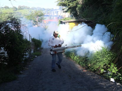 Un trabajador municipal realiza tareas para evitar la propagación de mosquitos en Cuernavaca (Morelos), en agosto.