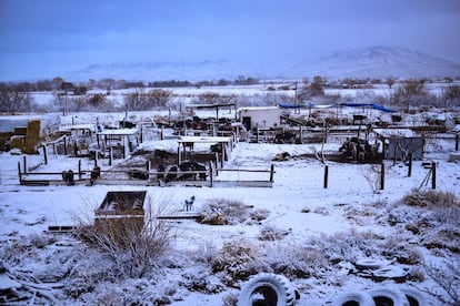 La segunda tormenta invernal incluy la cada de nieve en 30 municipios del Estado de Chihuahua con una profundidad de hasta 40 centmetros.