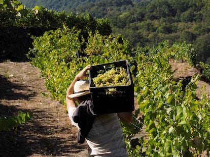 El sector agroalimentario se une contra Trump y pide al Gobierno un plan de ayudas inminente