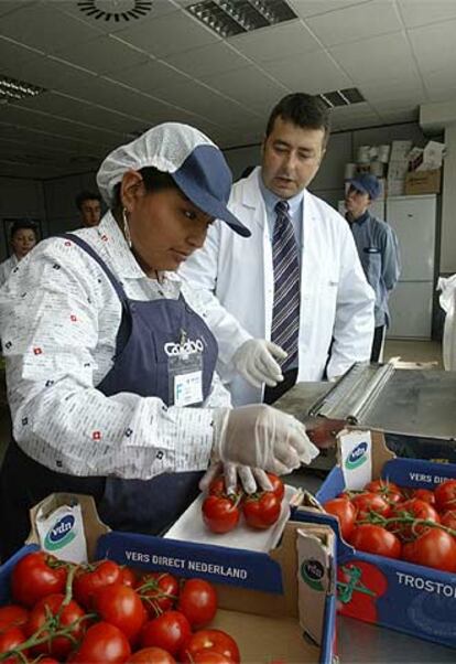 Una clase de Caprabo para futuros fruteros.