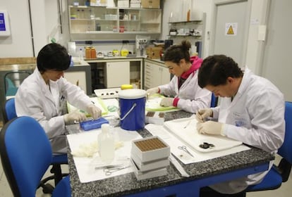 Laboratorio de investigación científica de la UPV en Leioa.