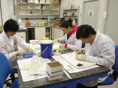 Laboratorio de investigación científica de la UPV en Leioa.