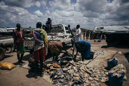 Habitantes de la aldea de  Akuai Deng, en Jonglei, cargan pescado seco para venderlo en el mercado local a finales de septiembre. Las inundaciones que se prevé que se extiendan hasta diciembre ponen en peligro su medio de subsistencia.