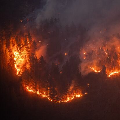 Avance del fuego, a 26 de agosto de 2025, en Cañones del Sil, Lugo, Galicia (España). Las condiciones parecen mejorar en la provincia de Lugo, especialmente azotada estos días por la ola de incendios que arrasa Galicia desde hace dos semanas. Así, la Situación 2 ya se ha desactivado en A Pobra do Brollón y el incendio originado en A Fonsagrada se ha dado por estabilizado.
27 AGOSTO 2025
Adrián Irago / Europa Press
26/08/2025
