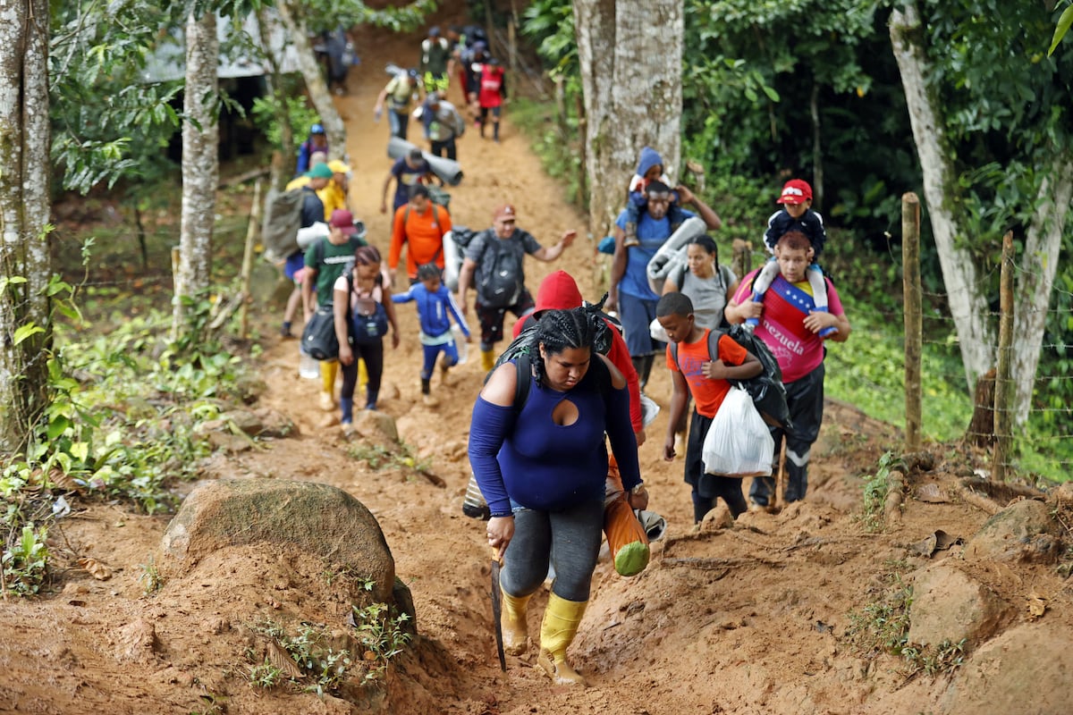 El alarmante incremento de migrantes ecuatorianos cruzando por el Darién |  EL PAÍS América Colombia