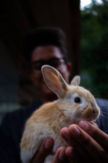 Efren está sosteniendo un conejo.