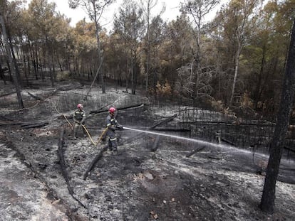 Brigadistas trabajan en Altura, afectada por el incendio forestal declarado el pasado mi&eacute;rcoles. 