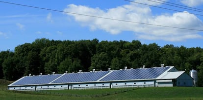 Techo solar en una fábrica.