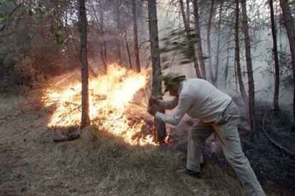 Un vecino apaga el fuego en la localidad de Viver i Serrateix.