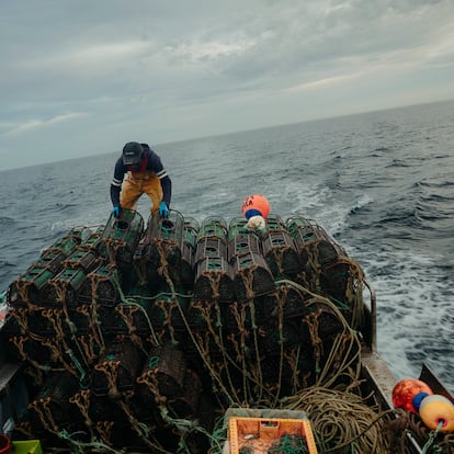 Septiembre de 2023 - Reportaje sobre El Pulso: pesca, mercados, cofradías, restaurantes.....  ©Joseph Fox