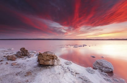 Conocido popularmente como el Mar Muerto valenciano, ya que su alta salinidad haría que una persona flotase dentro del agua, este humedal al sur de la provincia de Alicante está formado por dos lagunas de diferente color que aportan al paisaje una fisonomía singular: la de la Mata y la de Torrevieja. La primera, de color verde, es un bello entorno para pasear y contemplar aves. La segunda, de color rosa, tiene una concentración de sal similar a la de su homólogo asiático (entre Israel, Cisjordania y Jordania), de ahí su apodo. Es aquí donde se encuentra la explotación salinera de Torrevieja. Aunque el baño en el parque natural de las Lagunas de la Mata y Torrevieja no es posible, resulta agradable visitar las dos lagunas en bicicleta o a pie.