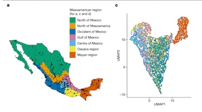 Mapa de la investigación sobre el biobanco publicada en la revista 'Nature' que muestra a México dividido en regiones mesoamericanas por grupos antropológicos y arqueológicos.