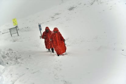 Dos peregrinos caminan cerca de Roncesvalles mientras realizan el Camino de Santiago.