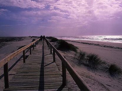 En las cercanías de la localidad portuguesa de Aveiro se extienden las bellas playas de dunas móviles de Costa Nova.