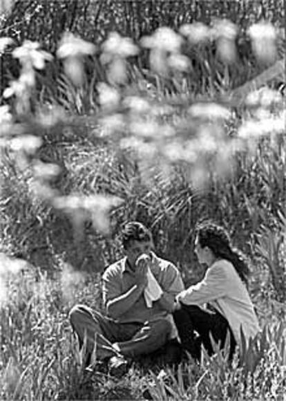 Una pareja, rodeada de plantas en un parque.