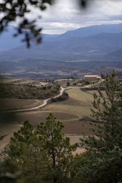 Los viñedos de Sant Miquel, en Tremp, están situados al pie del Pirineo catalán, a una altura de 850 metros. 