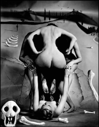 'Cráneo de leopardo' de Salvador Dalí y Philippe Halsman, 1951.