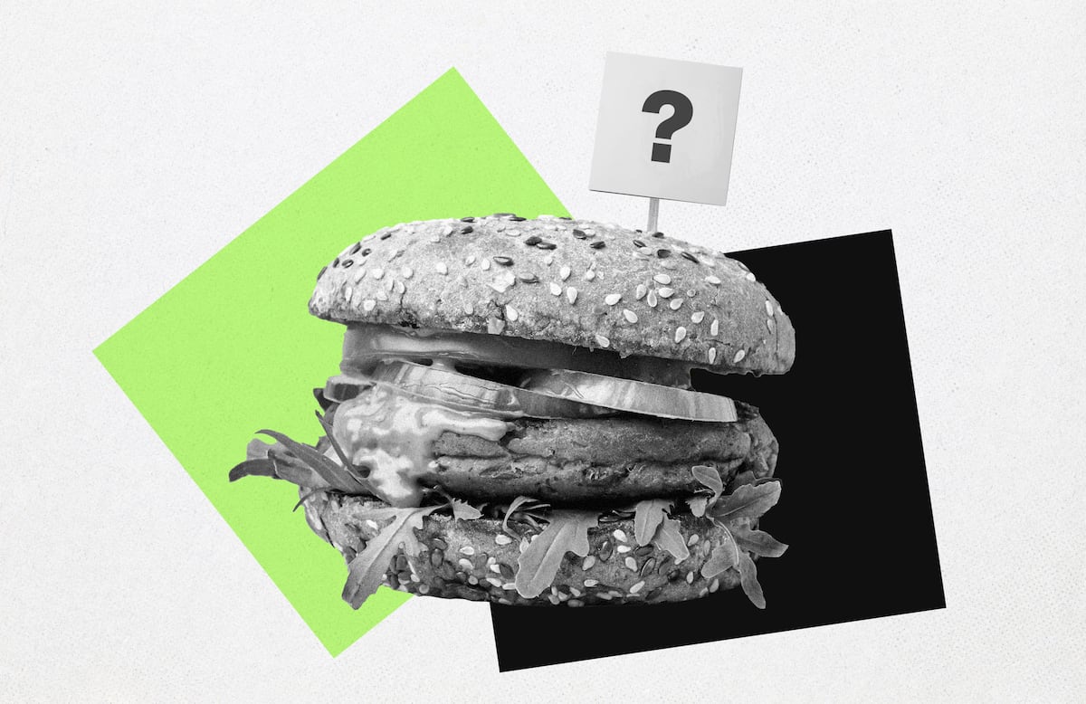 El metapneumovirus y el hantavirus: ¿Por qué se teme a estas amenazas sanitarias en Chile y el mundo?: Un análisis a seis meses de su evolución