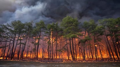 El incendio cerca de Lacey Townships, Nueva Jersey el 22 de abril del 2025.