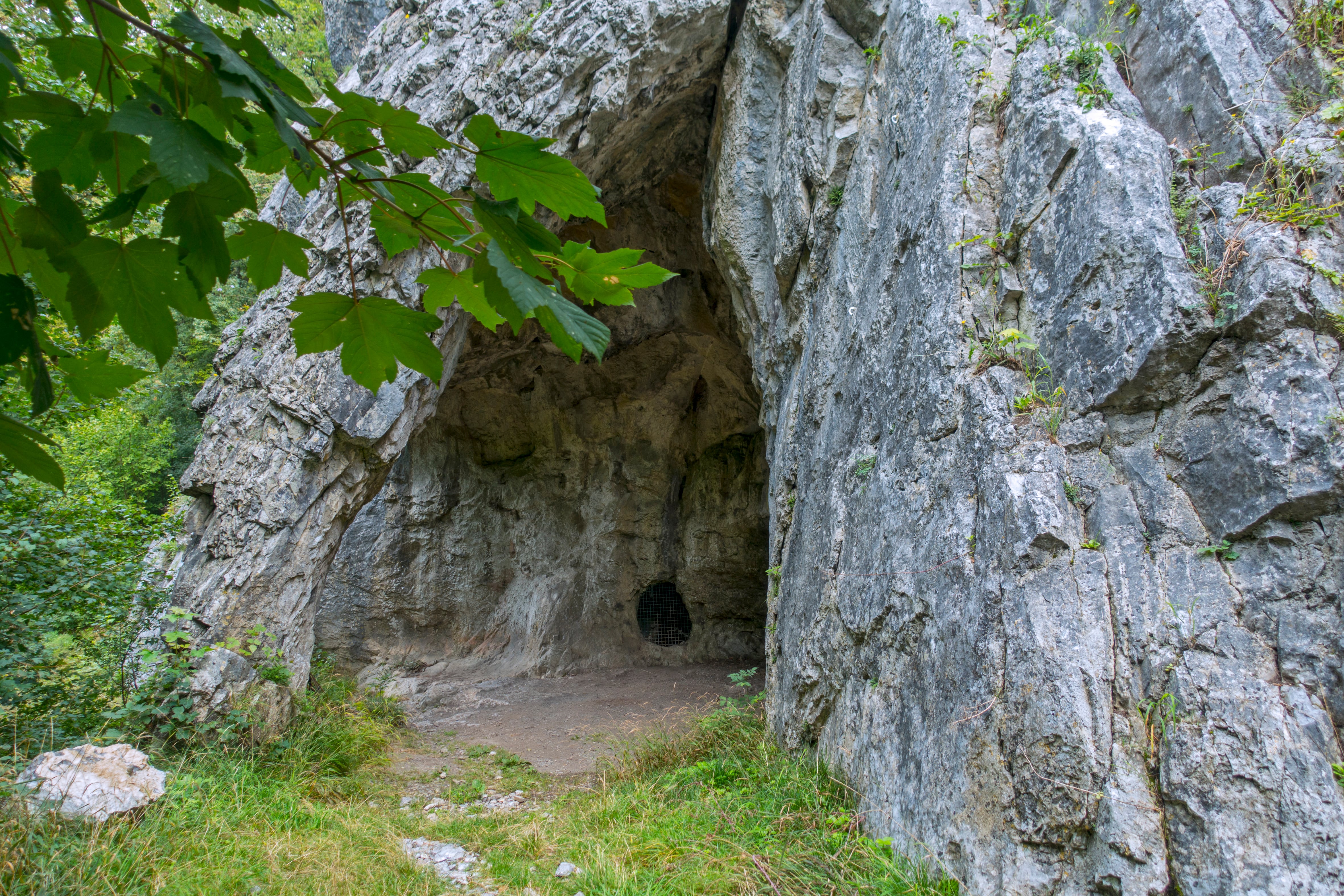 El mayor estudio de ADN de neandertales tardíos refuerza la sospecha sobre el papel humano en su extinción