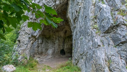 Estudio de ADN de neandertales