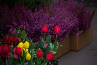 Plants are displayed for sale in Manhattan&#039;s flower district in New York, U.S., on Thursday, March 24, 2016. With an El Nino in the equatorial Pacific, winter across the contiguous U.S. was the warmest in history, and new daily high temperatures were posted last week in Philadelphia, Trenton, Boston and New York&#039;s Central Park. Photographer: Michael Nagle/Bloomberg