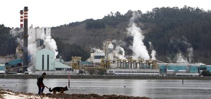 Imagen de la planta de Ence en Pontevedra.