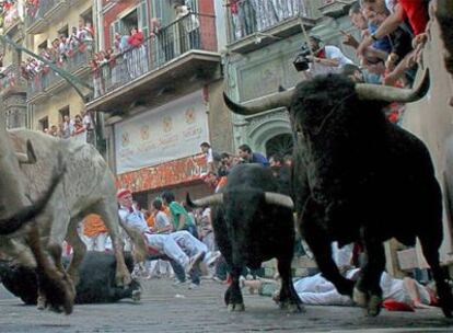 Toros del Marqués de Domecq durante un encierro.