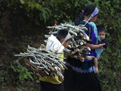 Una familia transporta le&ntilde;a en Yibeljoj, Chiapas.