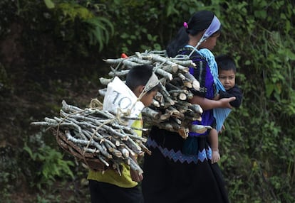 Una familia transporta leña en Yibeljoj, Chiapas.