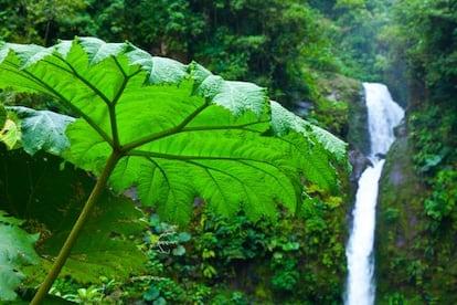 La cascada de La Paz, en Costa Rica.