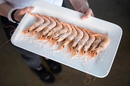 Ración de gambas a la plancha de El Yerno.