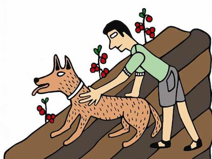 Ilustración de César Fernández Arias