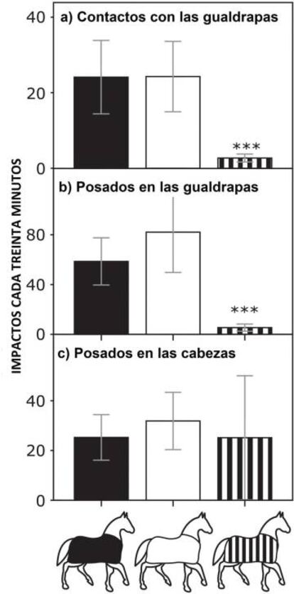 Número medio de impactos de tábano ​cada 30 minutos : (a) tocando o (b) aterrizando en gualdrapas de diferentes telas, y (c) aterrizando en la cabeza desnuda de siete caballos. Como se puede observar, el número de impactos sobre las gualdrapas rayadas es muy pequeño, mientras que los impactos sobre cuellos y cabezas (desnudos en los tres casos) son idénticos. Modificada a partir de la figura original. Caro et. al., Author provided