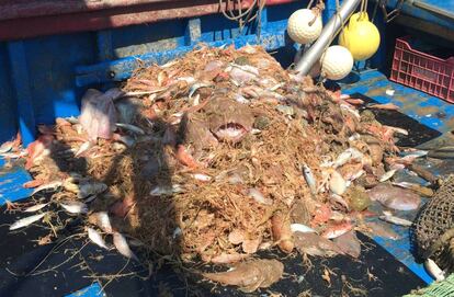 Productes marins per a farmàcia.