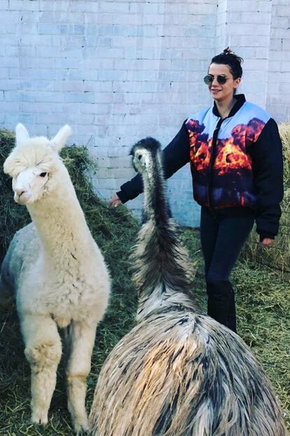 Macarena Gómez y Aldo Comas.

En su refugio del Alt Empordà, y rodeados de alpacas, emus y cerdos, pasan los días de confinamiento la actriz y el empresario. A pesar de algunas críticas en redes sociales, la pareja ha defendido tener en propiedad alpacas alegando que viven en libertad y que son animales domésticos muy comunes en países como Perú.